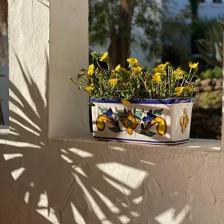 Topbeliggende Lejl I Nueva Andalucia * Marbella